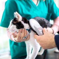 MICROCHIP PET 