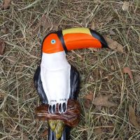 Tucano