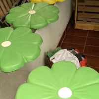 Margarida