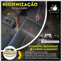 Higienização de interiores Veicular