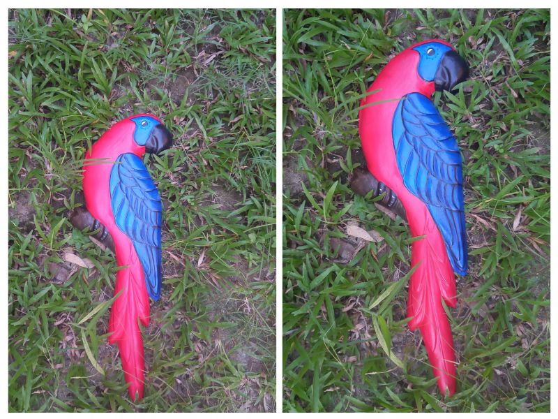 Arara