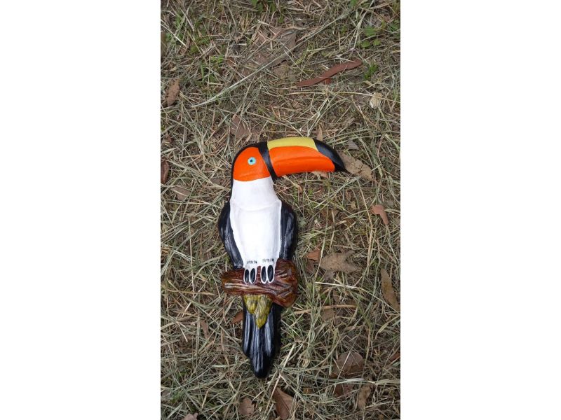 Tucano